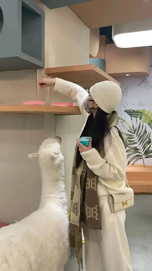 亚洲人成网站在线播放影院在线_体育娱乐app_久久天天躁狠狠躁夜夜2O2O